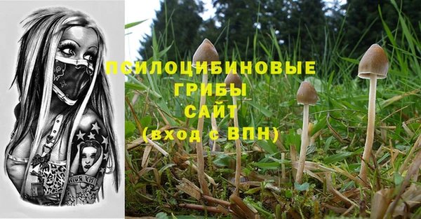 мескалин Баксан